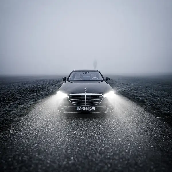 s class posing middle of the road in mist